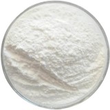 Chlorhexidine Base Suppliers