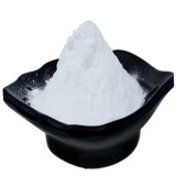 Sodium Caseinate Suppliers